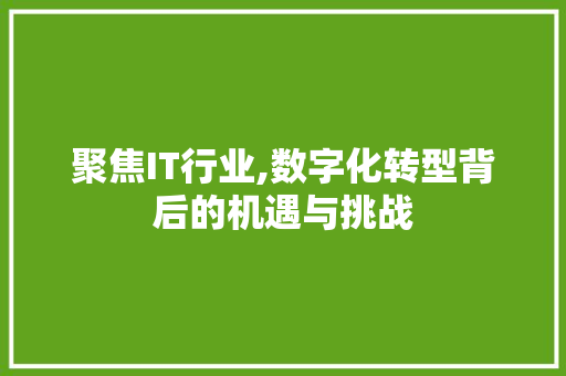 聚焦IT行业,数字化转型背后的机遇与挑战