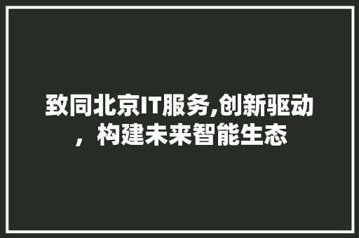 致同北京IT服务,创新驱动，构建未来智能生态