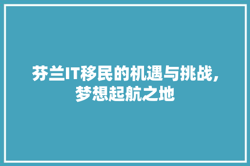 芬兰IT移民的机遇与挑战,梦想起航之地