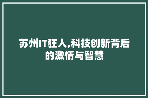 苏州IT狂人,科技创新背后的激情与智慧 360搜优化