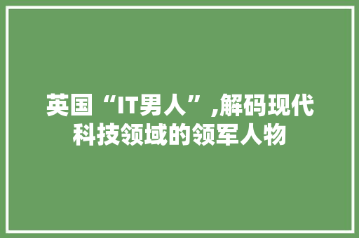 英国“IT男人”,解码现代科技领域的领军人物