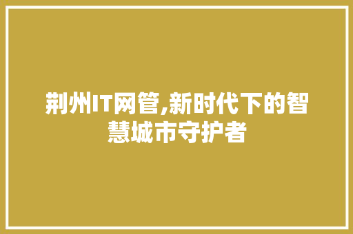 荆州IT网管,新时代下的智慧城市守护者 英文谷歌算法