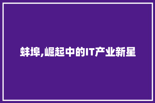 蚌埠,崛起中的IT产业新星 英文谷歌算法
