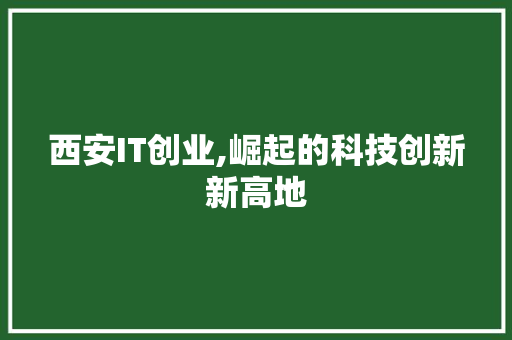 西安IT创业,崛起的科技创新新高地
