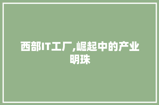 西部IT工厂,崛起中的产业明珠