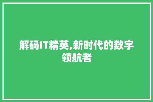 解码IT精英,新时代的数字领航者 AI技术学习