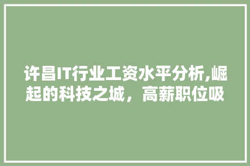 许昌IT行业工资水平分析,崛起的科技之城，高薪职位吸引人才 网站优化