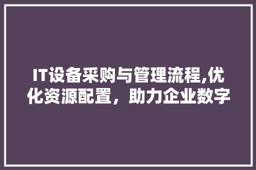 IT设备采购与管理流程,优化资源配置，助力企业数字化转型 网站优化