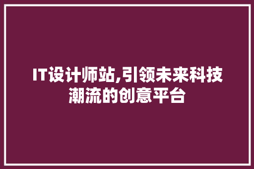 IT设计师站,引领未来科技潮流的创意平台 网站开发