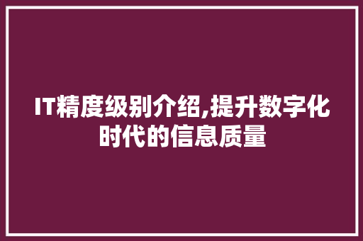 IT精度级别介绍,提升数字化时代的信息质量