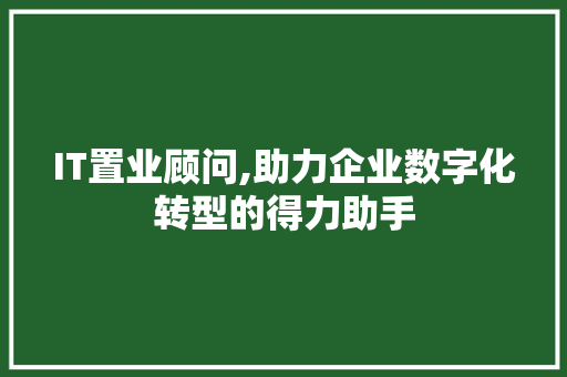 IT置业顾问,助力企业数字化转型的得力助手