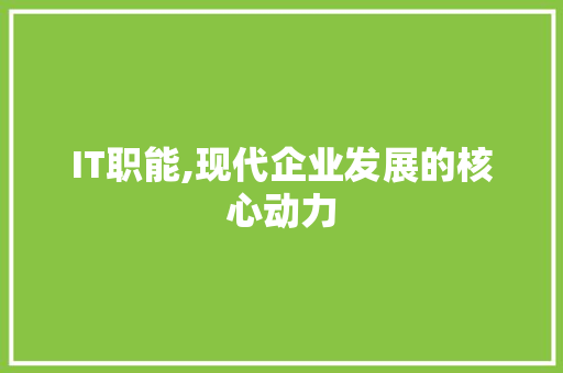 IT职能,现代企业发展的核心动力 seo技术