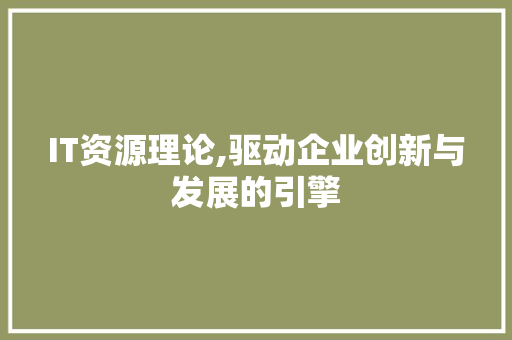 IT资源理论,驱动企业创新与发展的引擎