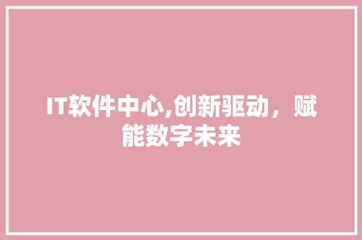 IT软件中心,创新驱动，赋能数字未来 英文谷歌算法