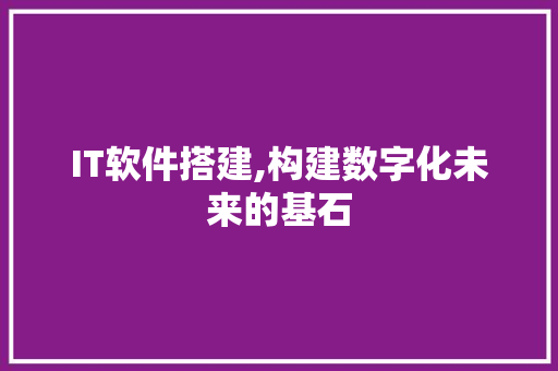 IT软件搭建,构建数字化未来的基石