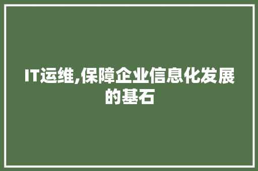 IT运维,保障企业信息化发展的基石