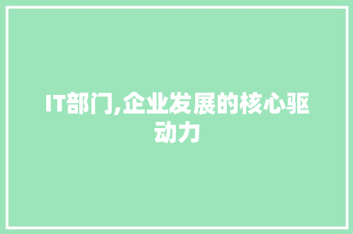 IT部门,企业发展的核心驱动力 头条优化