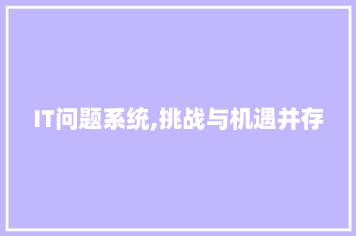 IT问题系统,挑战与机遇并存