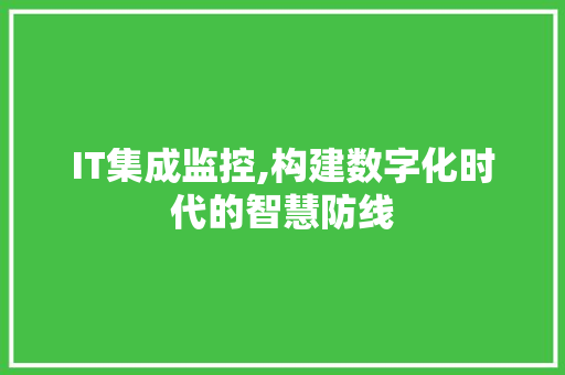 IT集成监控,构建数字化时代的智慧防线 seo技术