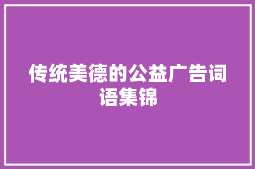 IT项目成功经验,步骤、执行与持续优化