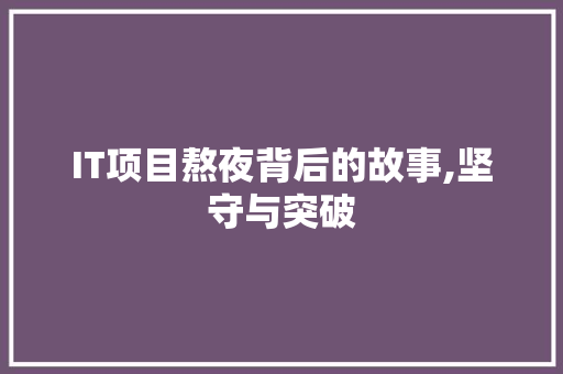 IT项目熬夜背后的故事,坚守与突破