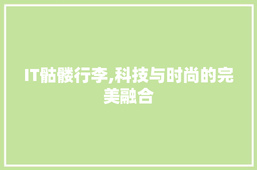 IT骷髅行李,科技与时尚的完美融合 头条优化