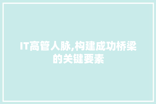 IT高管人脉,构建成功桥梁的关键要素