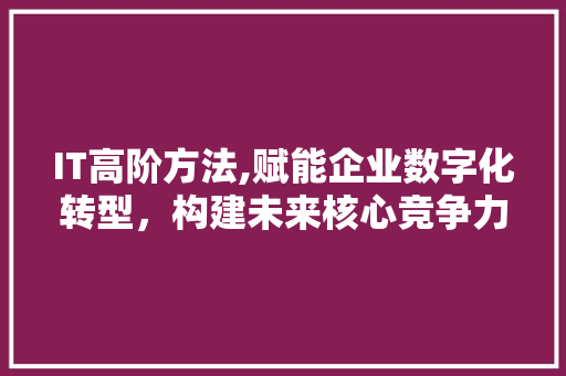 IT高阶方法,赋能企业数字化转型，构建未来核心竞争力