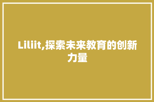 Liliit,探索未来教育的创新力量 网站优化