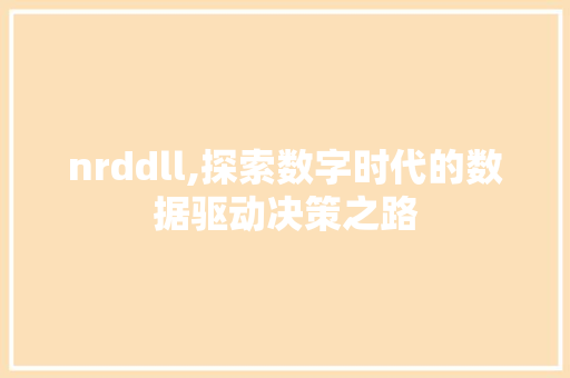nrddll,探索数字时代的数据驱动决策之路