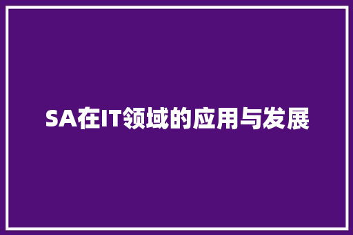 SA在IT领域的应用与发展