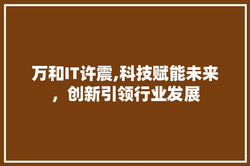 万和IT许震,科技赋能未来，创新引领行业发展