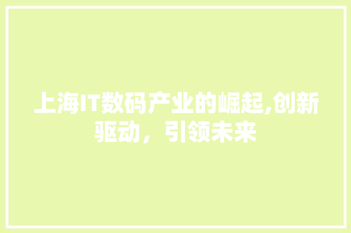上海IT数码产业的崛起,创新驱动，引领未来