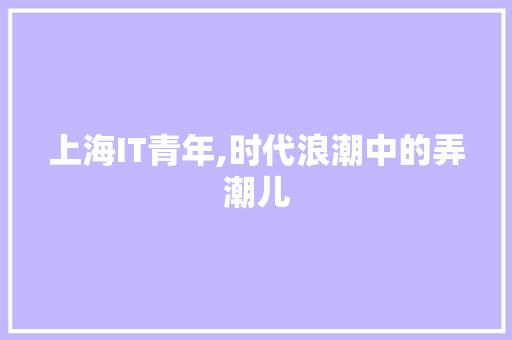上海IT青年,时代浪潮中的弄潮儿