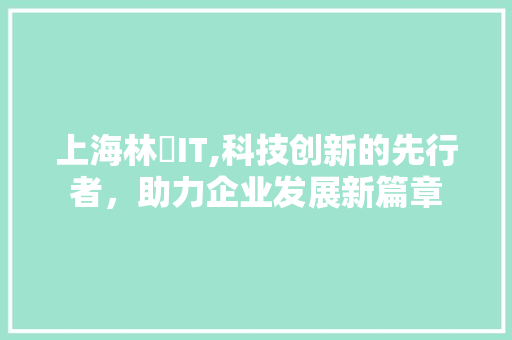 上海林慜IT,科技创新的先行者，助力企业发展新篇章 小程序开发