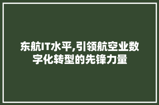 东航IT水平,引领航空业数字化转型的先锋力量 网站优化