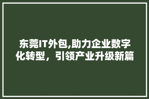 东莞IT外包,助力企业数字化转型，引领产业升级新篇章 小程序开发