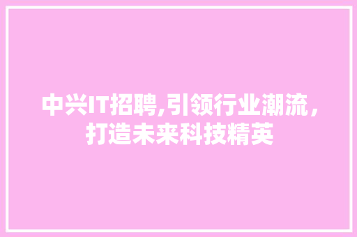 中兴IT招聘,引领行业潮流，打造未来科技精英