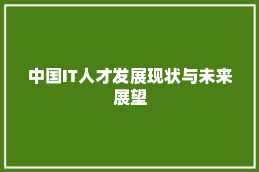 中国IT人才发展现状与未来展望