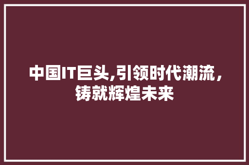 中国IT巨头,引领时代潮流，铸就辉煌未来 seo技术