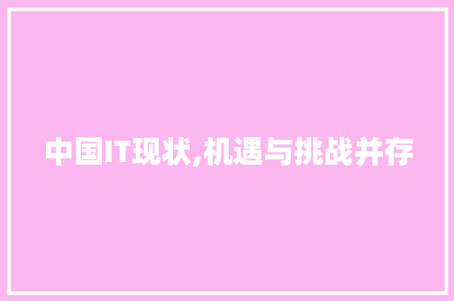 中国IT现状,机遇与挑战并存