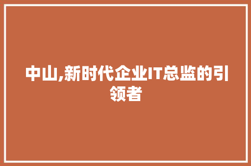 中山,新时代企业IT总监的引领者