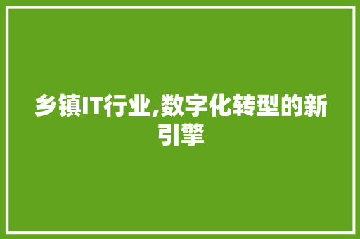 乡镇IT行业,数字化转型的新引擎