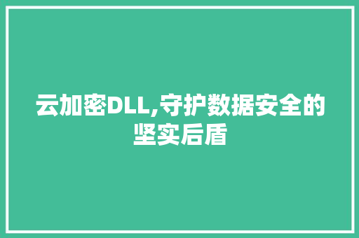 云加密DLL,守护数据安全的坚实后盾