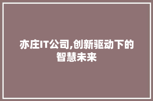 亦庄IT公司,创新驱动下的智慧未来 360搜优化