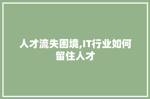 人才流失困境,IT行业如何留住人才