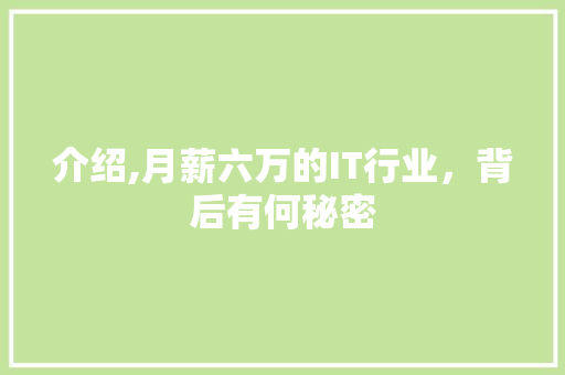 介绍,月薪六万的IT行业，背后有何秘密