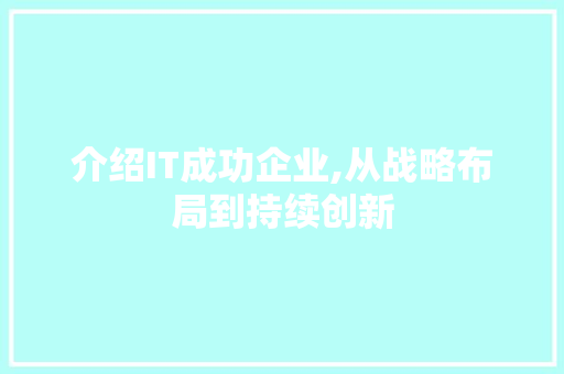 介绍IT成功企业,从战略布局到持续创新