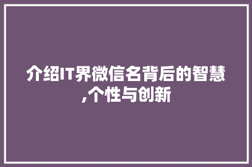 介绍IT界微信名背后的智慧,个性与创新