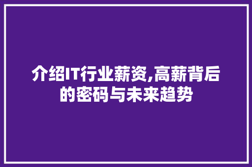 介绍IT行业薪资,高薪背后的密码与未来趋势